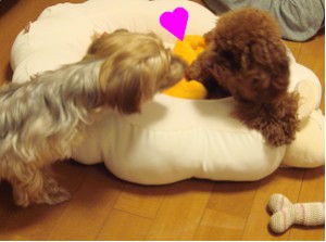 チュッ♪