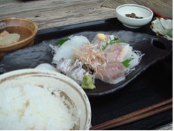 お刺身定食