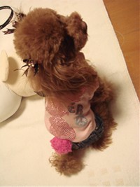 後姿もいいでしょ♪