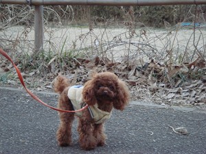 お散歩@舞岡公園