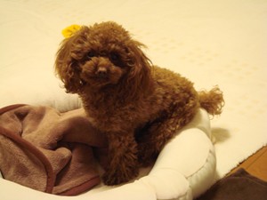 お座り