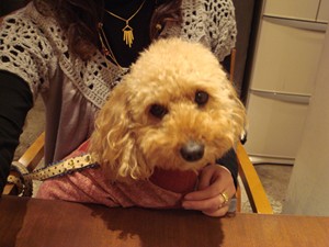 ムックちゃん♪