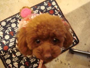 いい子にお座りしてましゅよ