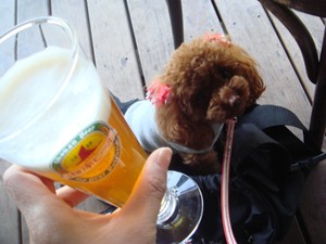 ランチ@モキチ