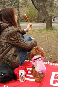 花よりだんご♪