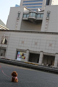 ここあ@横浜美術館