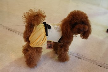似合ってる?