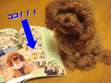 ここあ雑誌デビュー