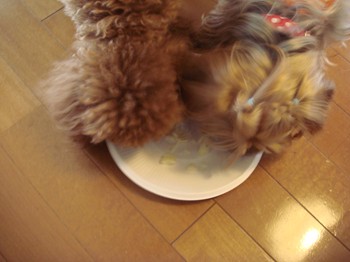 一緒にうまうま♪