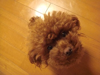 おかえり♪