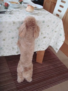 何かな?
