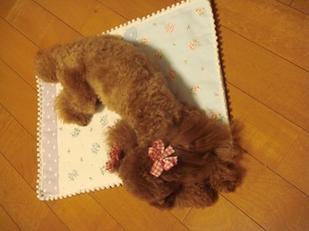 眠いんでしゅ・・・