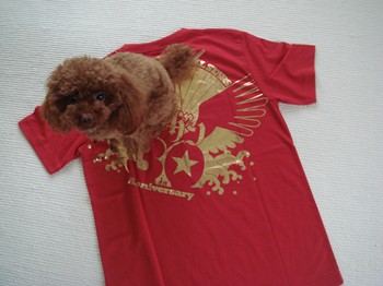 サザンTシャツ