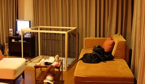お部屋