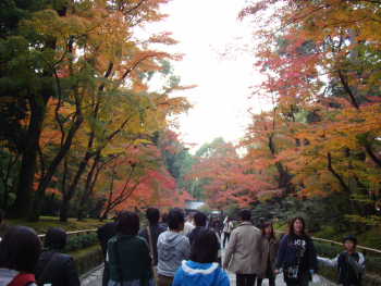 金閣寺