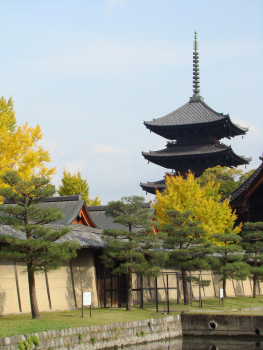 東寺・五重塔