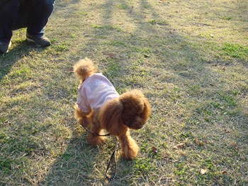 DSC05785.JPG