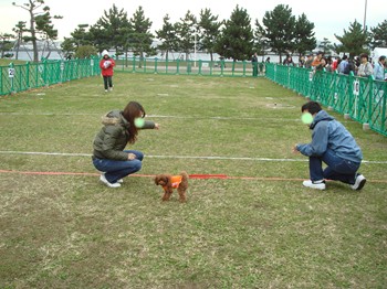 コピー ~ DSC05795.JPG