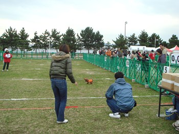 コピー ~ DSC05797.JPG