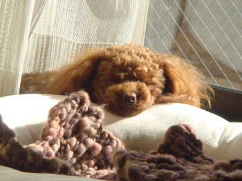 眠いんでしゅ・・・・