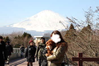 ここあ@富士山
