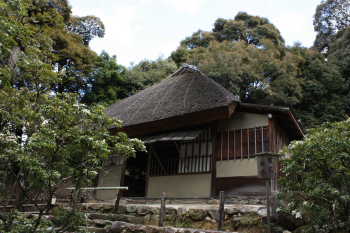 高台寺・傘の屋根