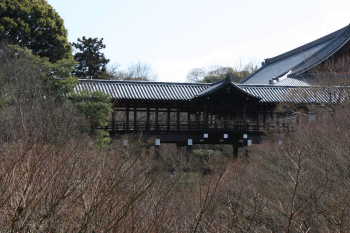 東福寺通天橋
