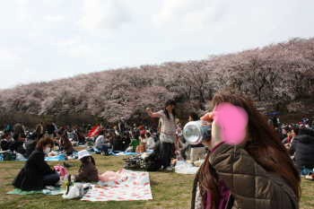 ビールがうまい♪