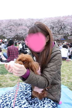 これなんでしゅか?