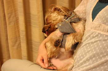 眠いの・・・・