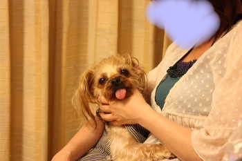 ベロ出てます・・・