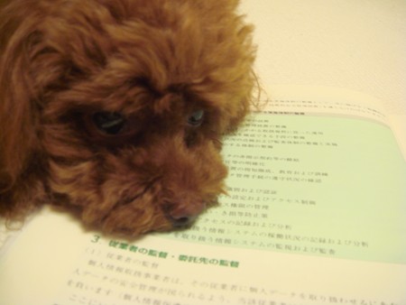なに・・・・
