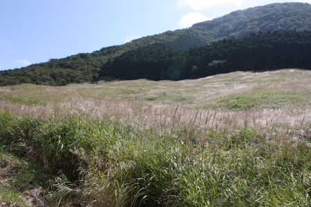 仙石原