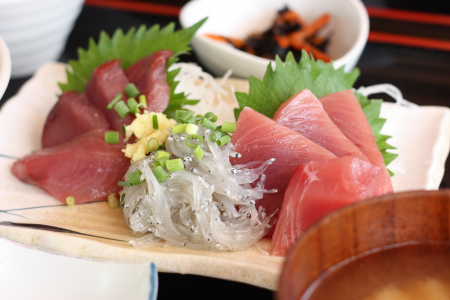 お刺身定食