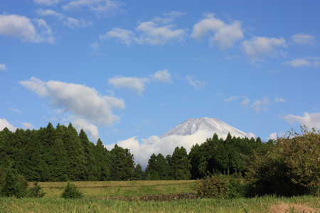 富士山