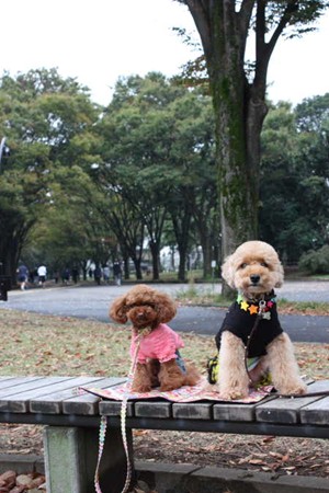 ここあ&ムックちゃん♪