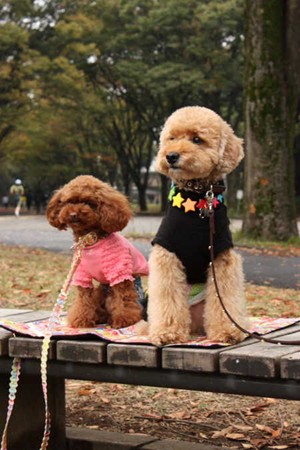 ここあ&ムックちゃん♪