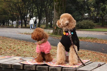 ここあ&ムックちゃん♪