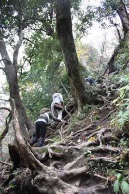 山道