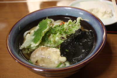 とちもち入り山菜うどん