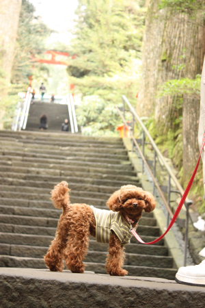 箱根神社