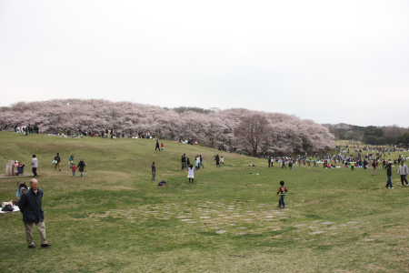 森林公園