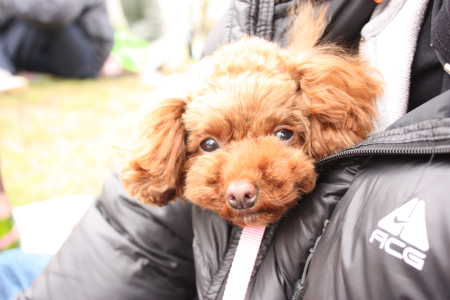 ぬくぬくここあ♪