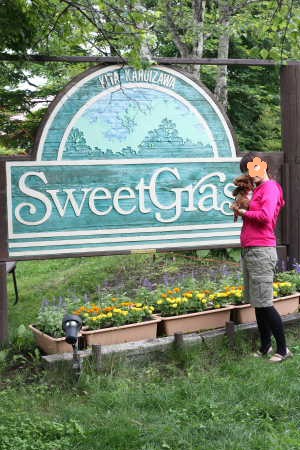 ここあ@Sweet Grass