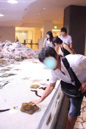 美ら海水族館