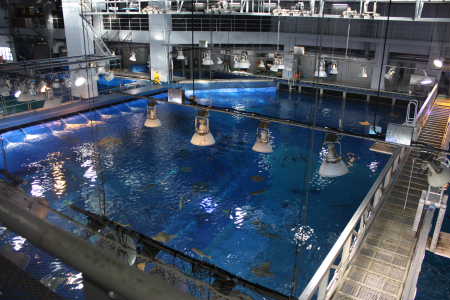美ら海水族館