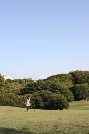 森林公園