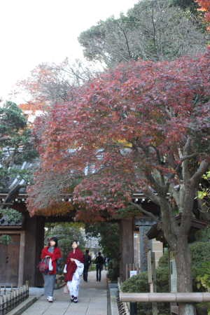 報国寺