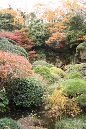 報国寺
