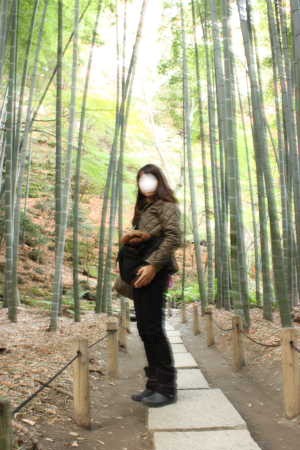 報国寺